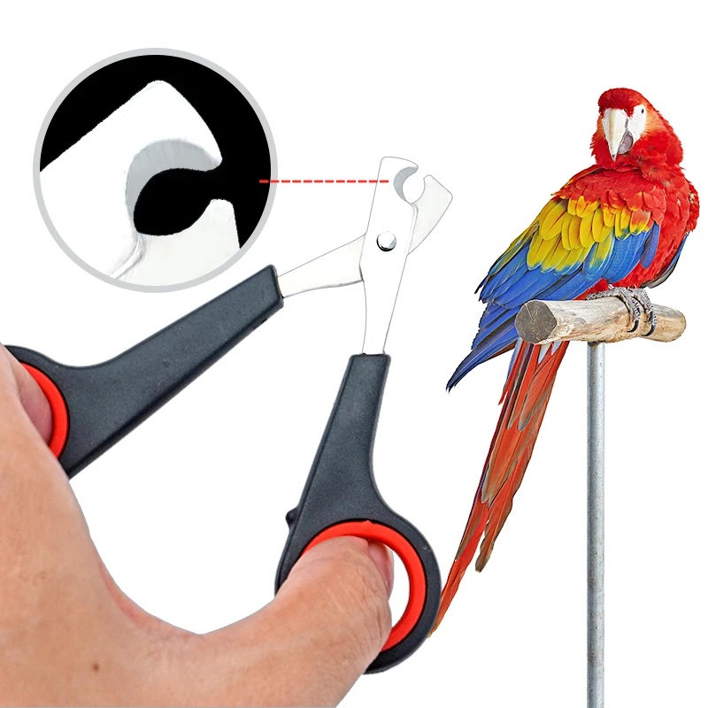 12cm Evcil Hayvan Papağan Tırn - Grooming Scissors incelemesi ve fiyatı
