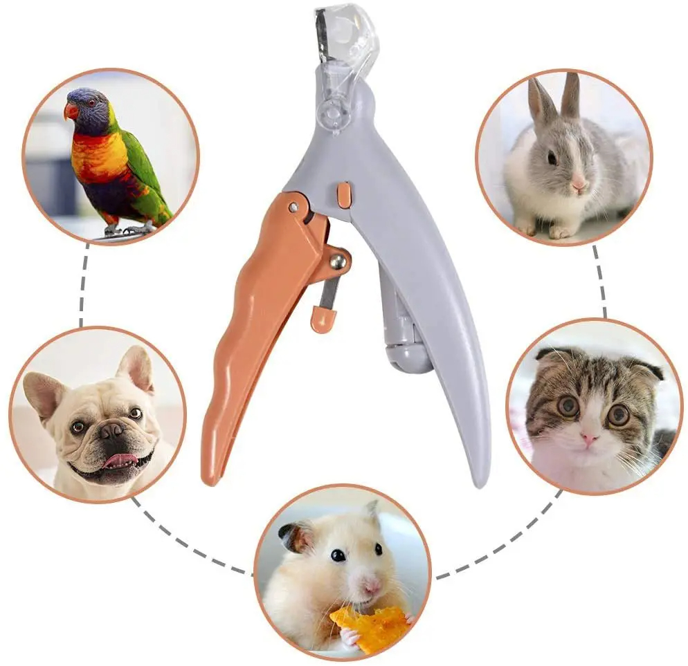 LED Işıklı Kediler ve Köpekler - Grooming Scissors incelemesi ve fiyatı